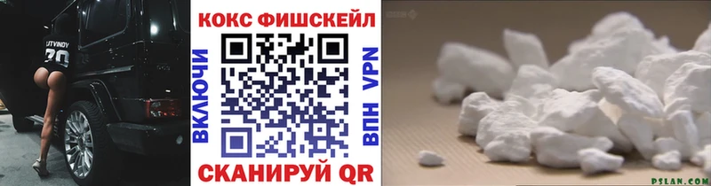 Кокаин Fish Scale  MEGA ТОР  Гатчина  где купить наркоту 