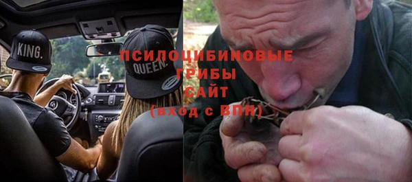 стафф Дмитриев