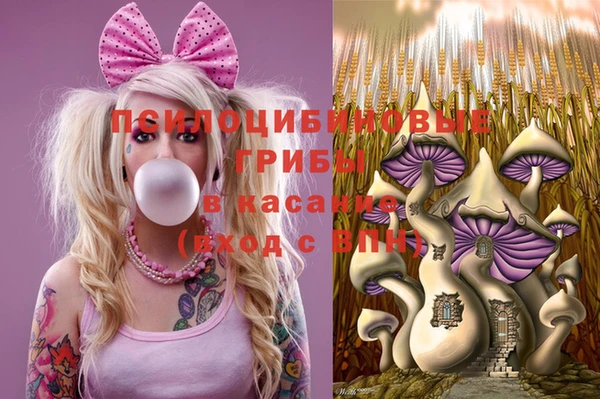 стафф Дмитриев