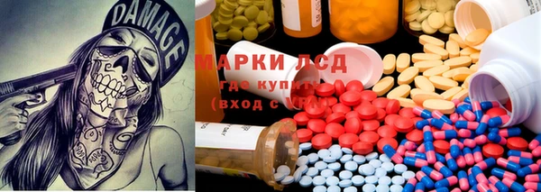 стафф Дмитриев