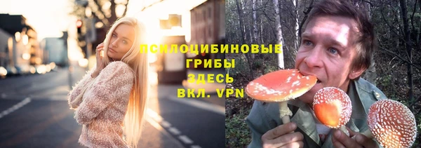 стафф Дмитриев