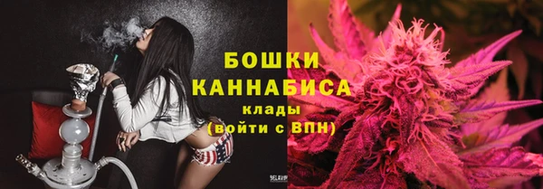 мдпв Ельня