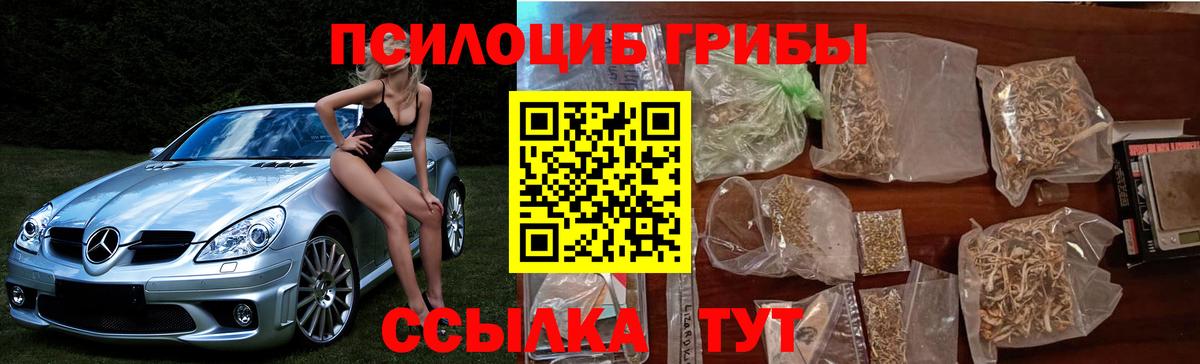 Псилоцибиновые грибы ЛСД  Галлюциногенные грибы Magic Shrooms  Гатчина 