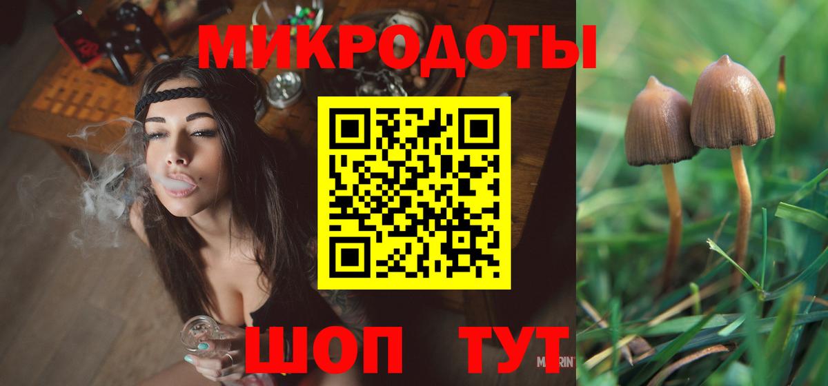 Псилоцибиновые грибы Psilocybe  Вход с VPN  Галлюциногенные грибы Psilocybine cubensis  Гатчина 
