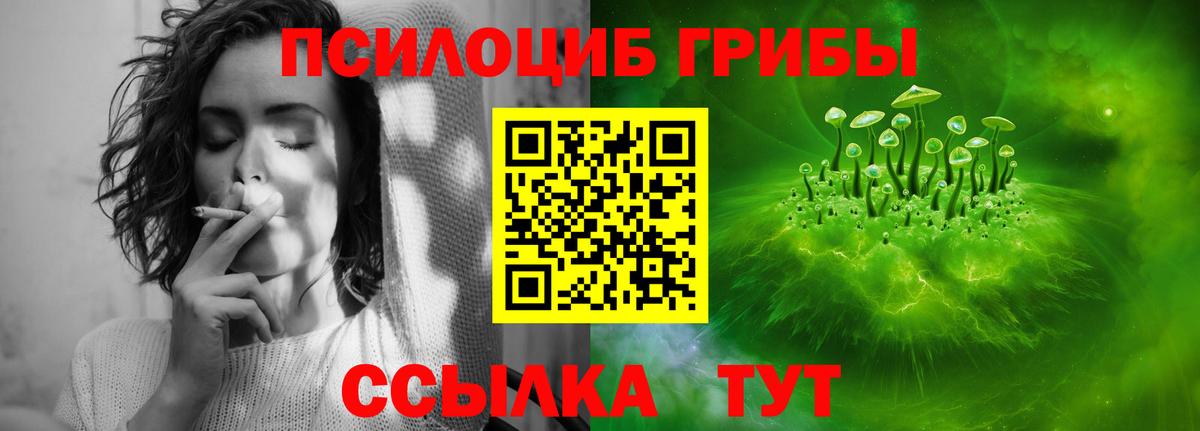 Псилоцибиновые грибы мухоморы Гатчина