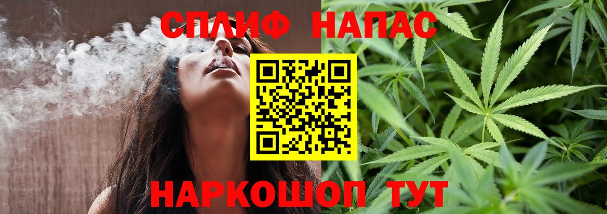 Шишки марихуана планчик  Каннабис Amnesia  Вход с VPN  Гатчина 